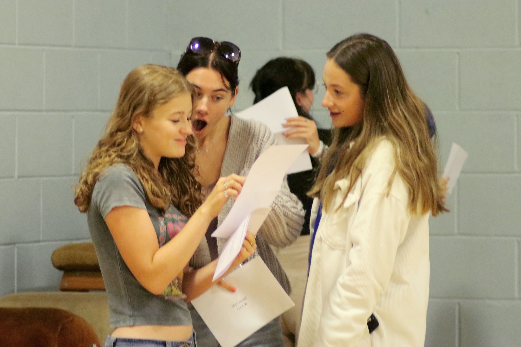 Plymouth High School for Girls - Exam results