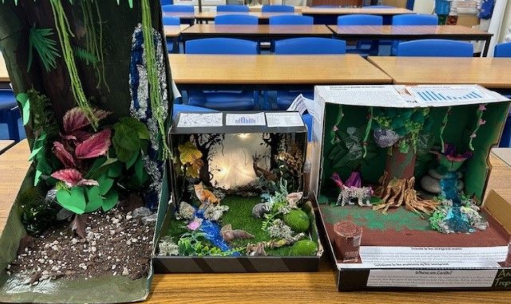Plymouth High School for Girls - Year 8 Students Wow with ‘Biome in the ...